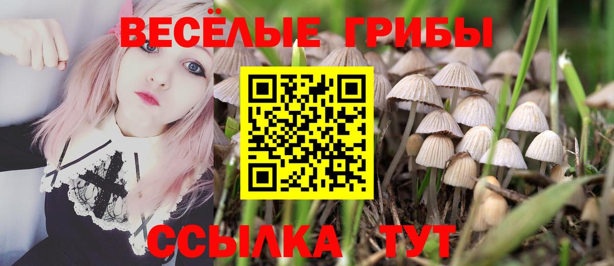 Знаменск  Галлюциногенные грибы Cubensis  Вход с VPN  Псилоцибиновые грибы Magic Shrooms 